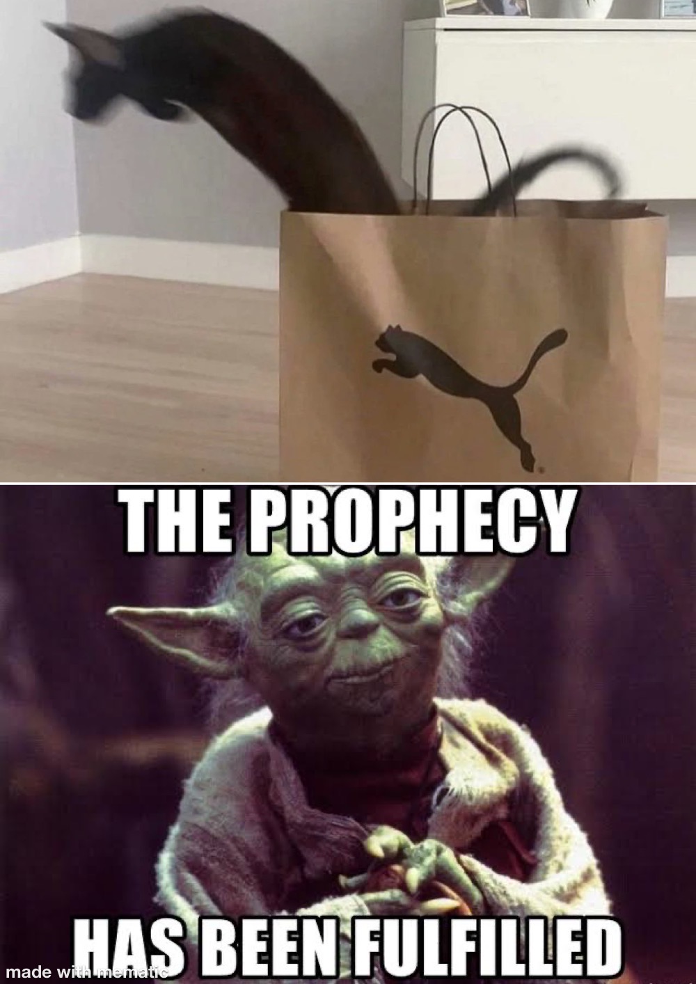 Prophecy Memes Chameleon Memes