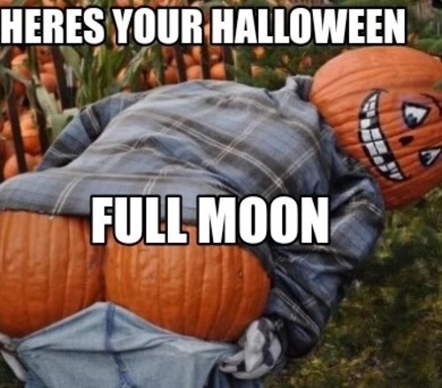 25 Naughty Halloween Memes For Adults Funny