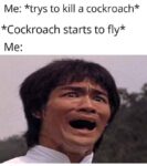 Flying cockroach meme