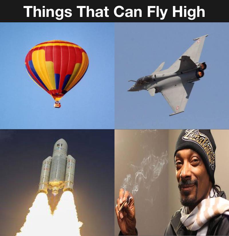 Your Highness! 1 Fly High Meme