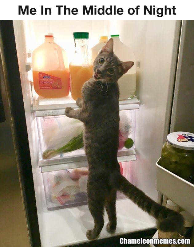 Its Sneaky Time! 1 hungry in the middle of the night meme
