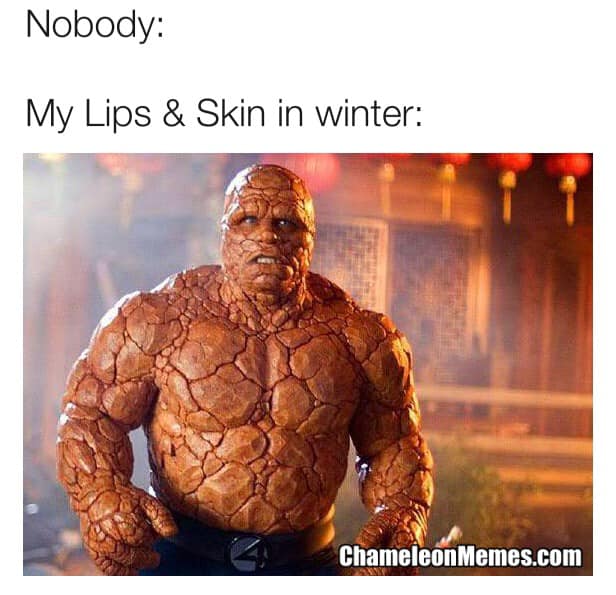 Winter dry skin & lip memes