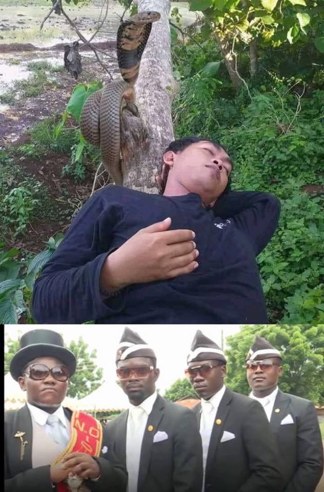 Top 7 Memes of 2020 18 Pallbearers meme