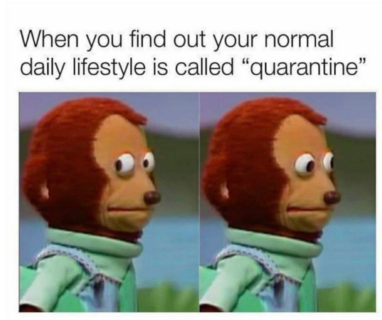 Top 7 Memes of 2020 7 Quarantine Meme