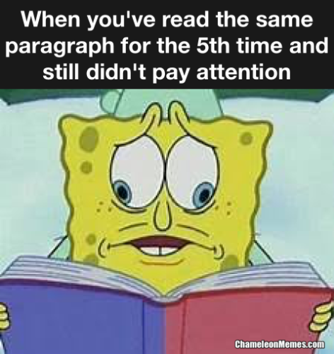 confused reading book meme - Chameleon Memes