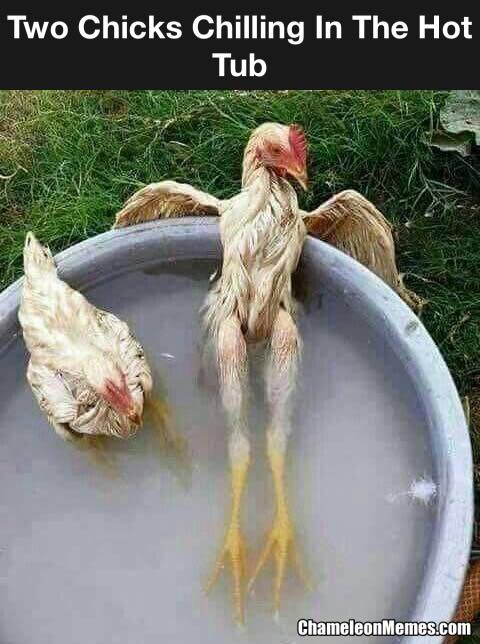 Top 7 Memes of 2020 13 two chicks chilling in hot tub