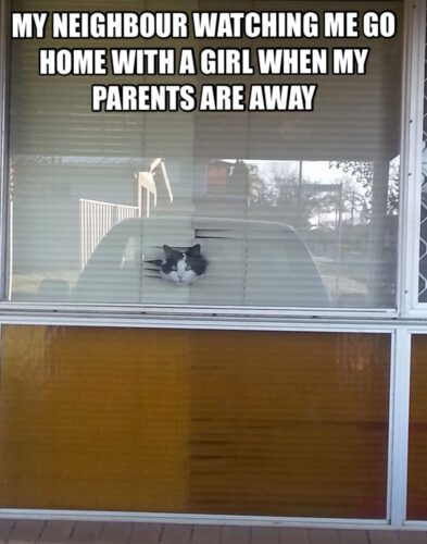 neighbour watching meme