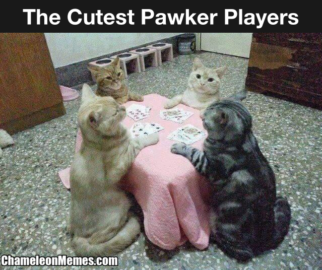 Cats playing poker meme