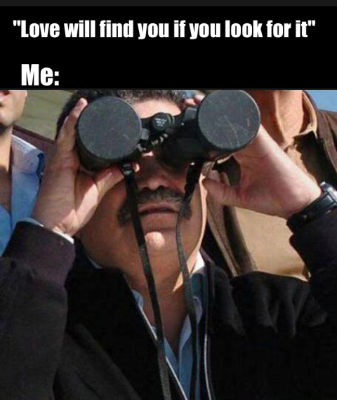 love will find you if you look for it meme