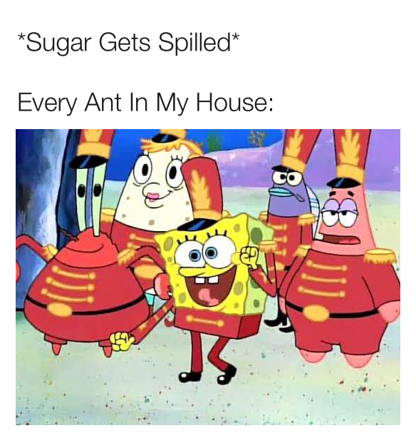 sugar spill meme
