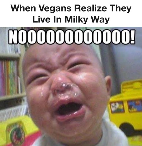 vegans meme