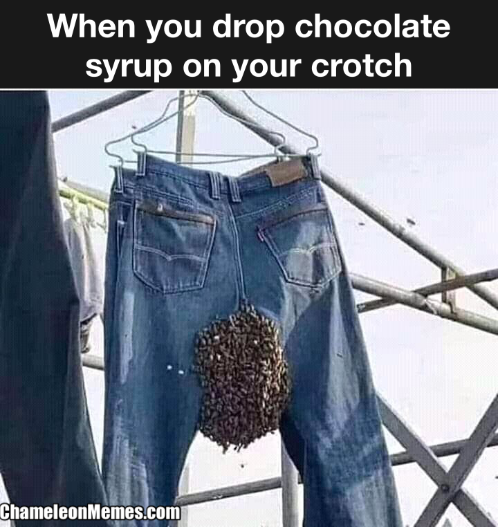 Honey Crotch 1 When you drop chocolate on you crotch meme