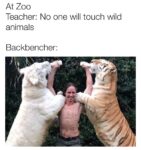 Backbencher meme
