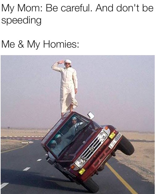 Me and my homies meme
