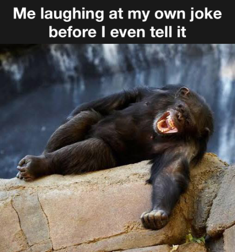 pin-on-funny-jokes-memes