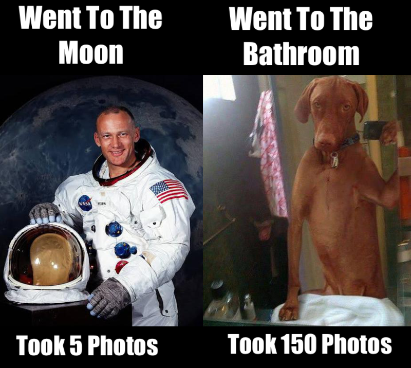 selfie meme - Chameleon Memes