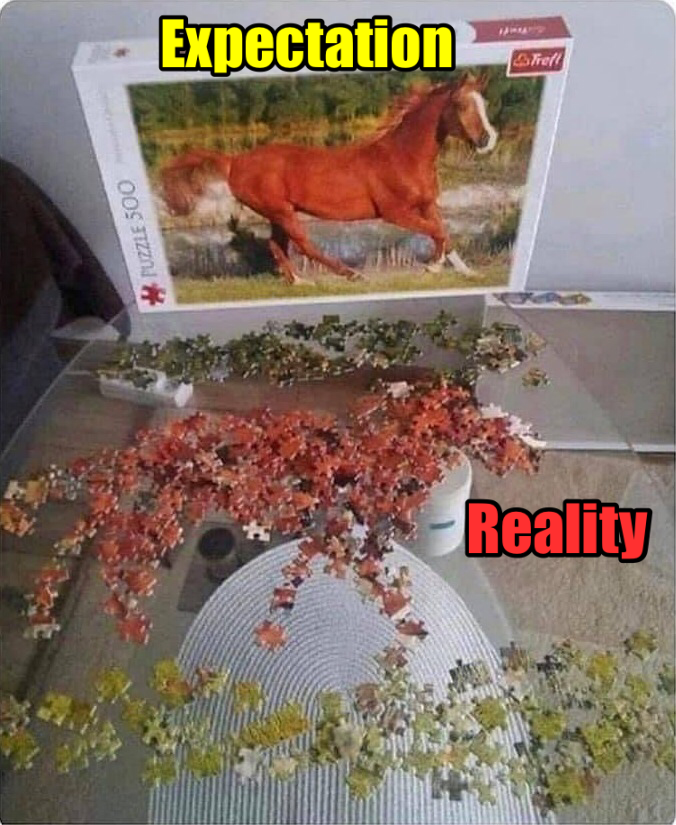 Puzzle solving meme