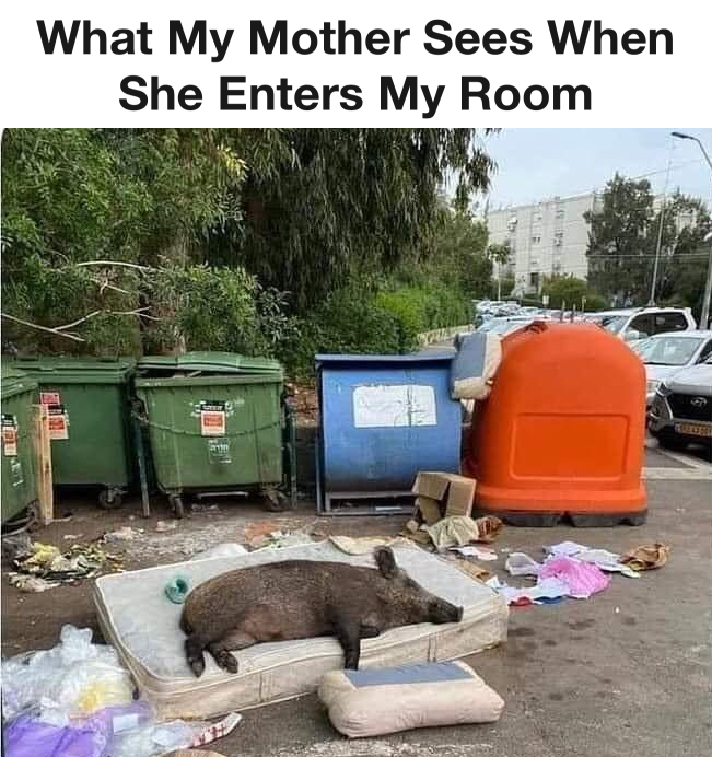 What my mother sees when she enters my room