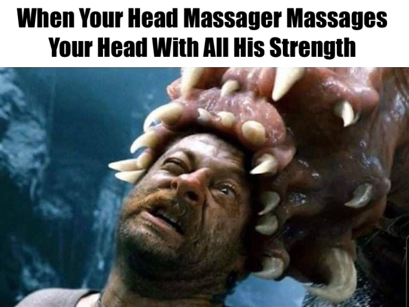 Painfully Relaxing! 1 Head Massager meme