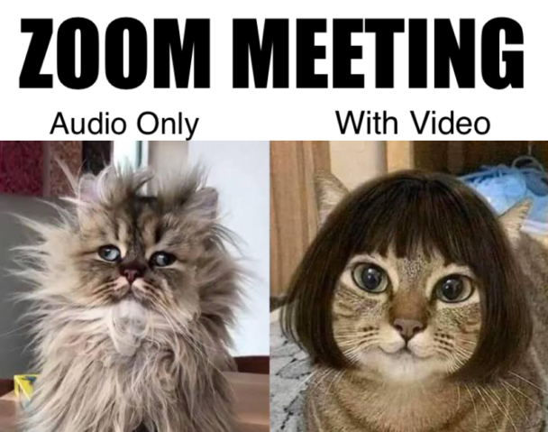 Zoom Meeting Audio vs Video Meme - Chameleon Memes