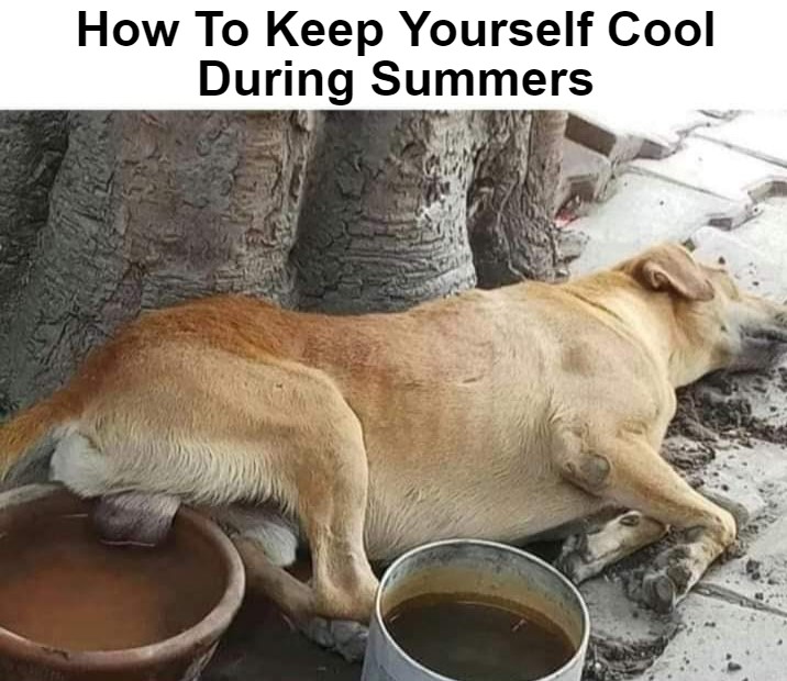 How to keep yourself cool during summers meme