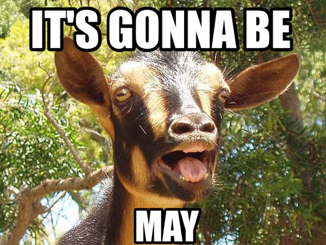 It's Gonna Be May! May! May! - Animals