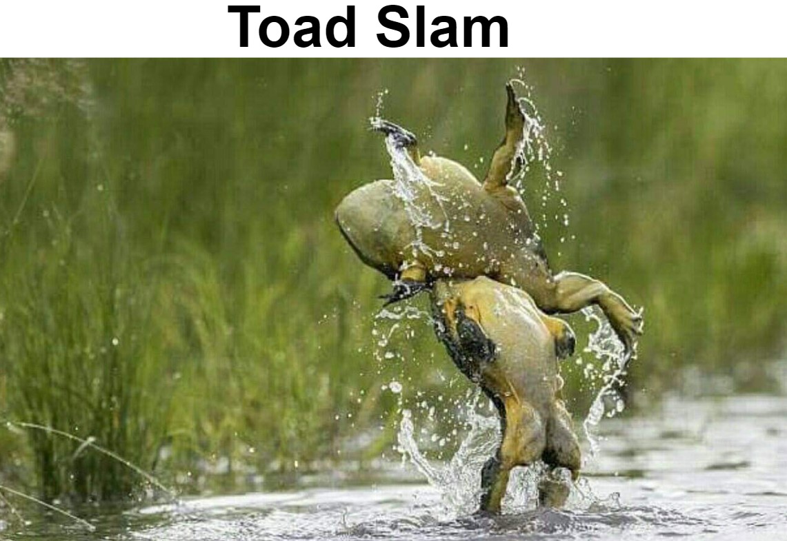 Toad Slam