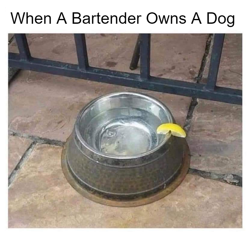 What Being A Bartender Is Actually Like... 1 When a bartender owns a dog meme