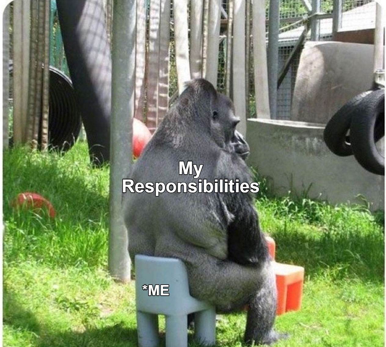 me and my responsibilities meme