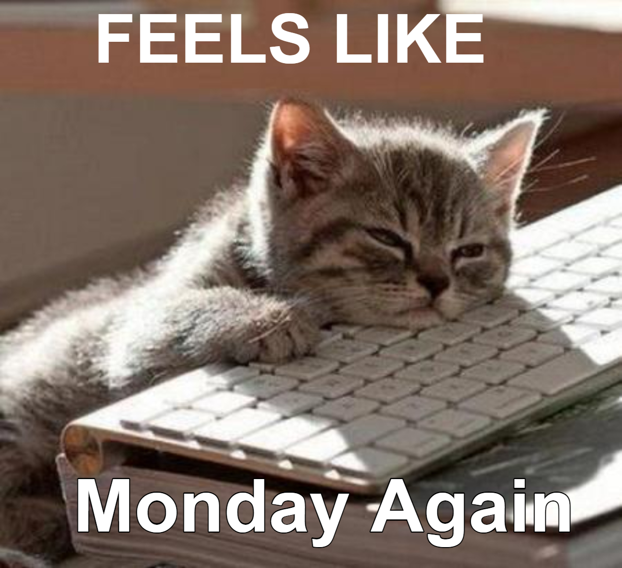 Mondays At Work Be Like... 1 Feels like monday again