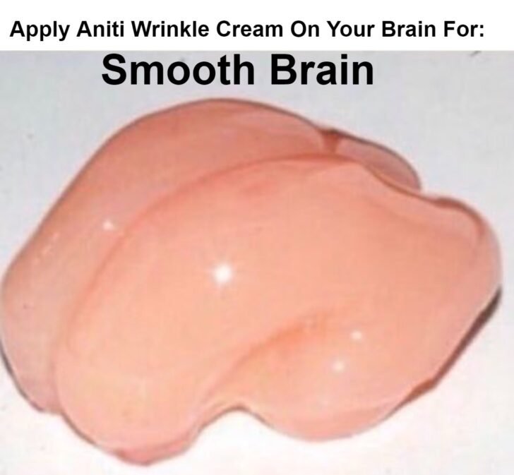 Smooth Brain Meme Chameleon Memes 