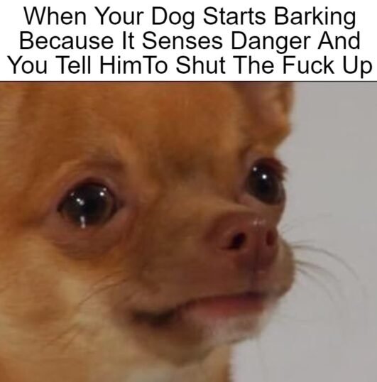 crying dog meme - Chameleon Memes