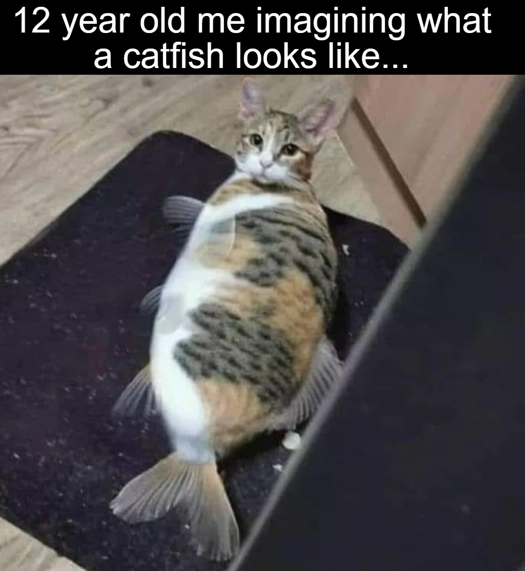 catfish meme