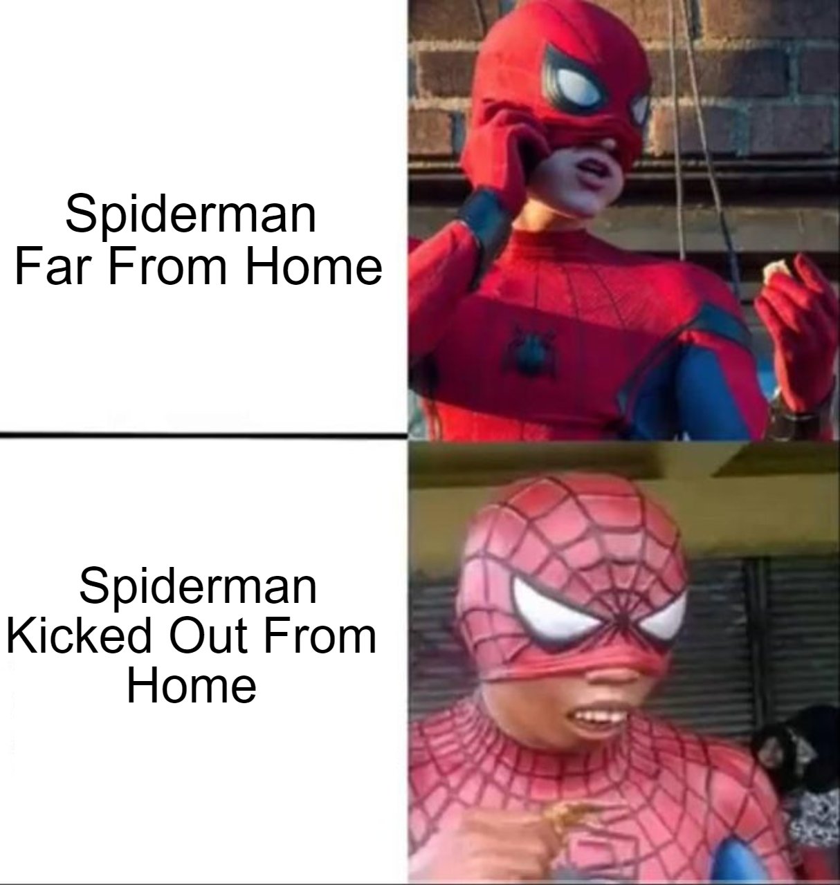 spider man meme