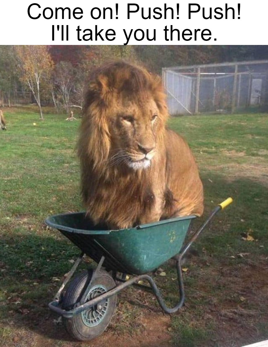 Push! Push! 1 Ill take you there meme