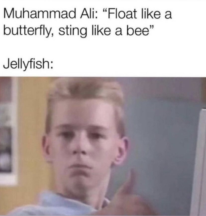 Float Like A Butterfly Sting Like A Bee Funny