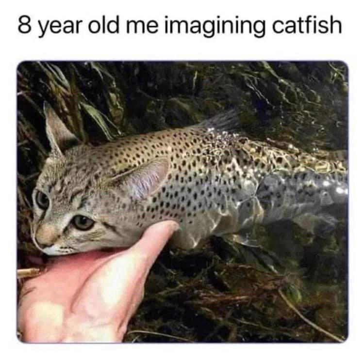 8 Year Old Me Imagining Catfish - Animals