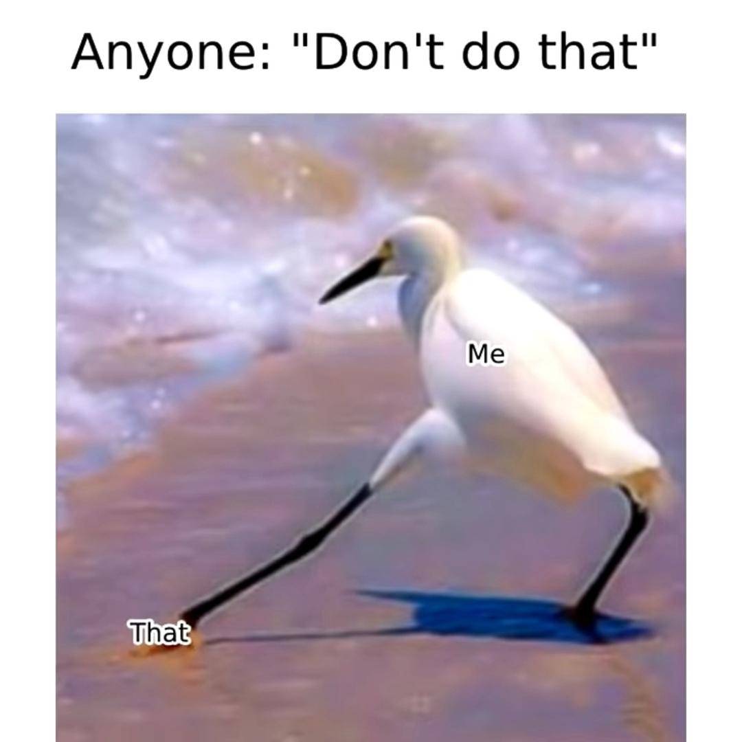Don't Do That 1 don't do that meme
