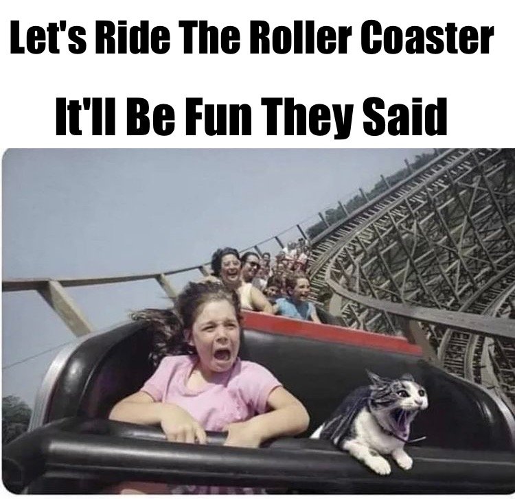 Roller Coaster Meme - Chameleon Memes