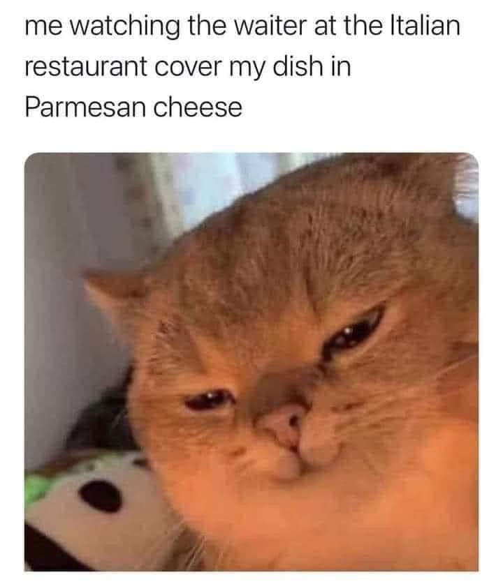 Heavenly Sight! 1 parmesan cheese meme