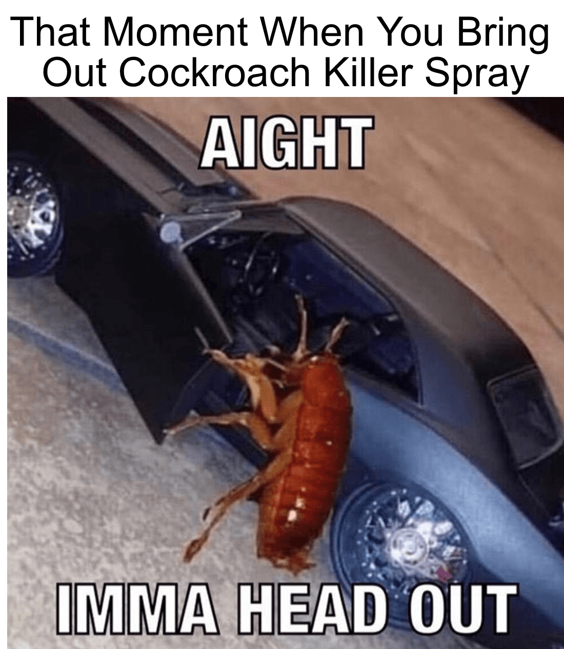 Fleeing Cockroach 1 Cockroach getting in car meme