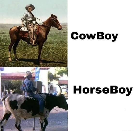 HowBoy? 1 Cow boy meme