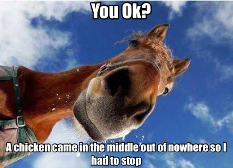 You Ok? 1 you ok meme