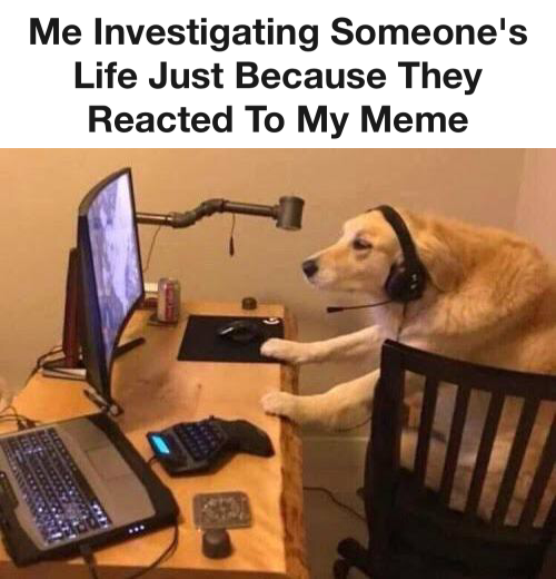 Investigating meme - Chameleon Memes