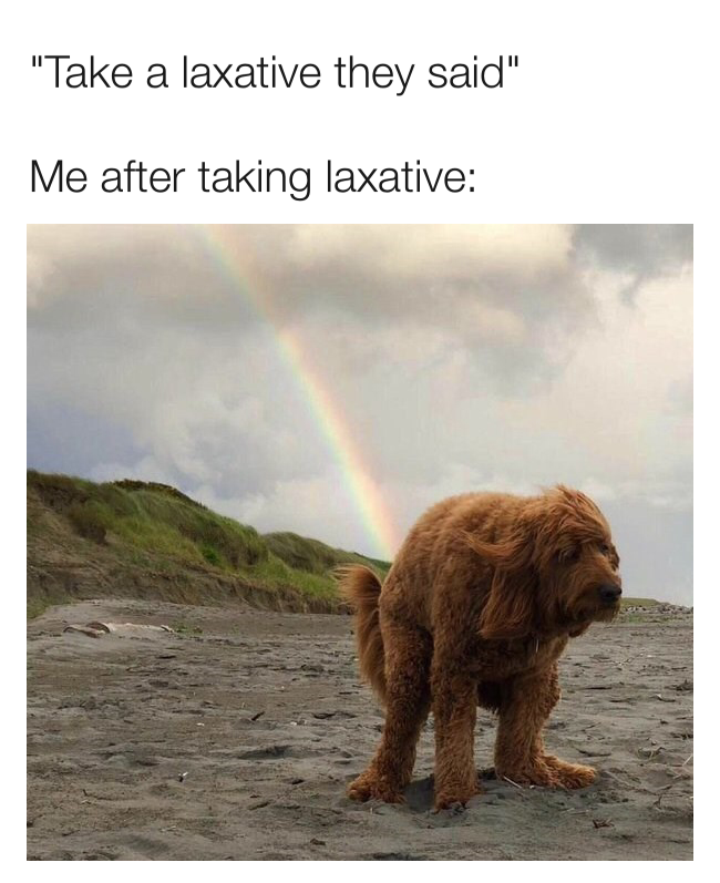 Take a laxative they said meme