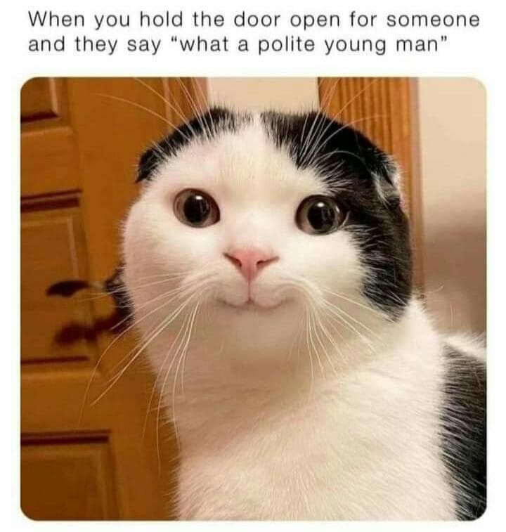 What A Polite Young Man meme