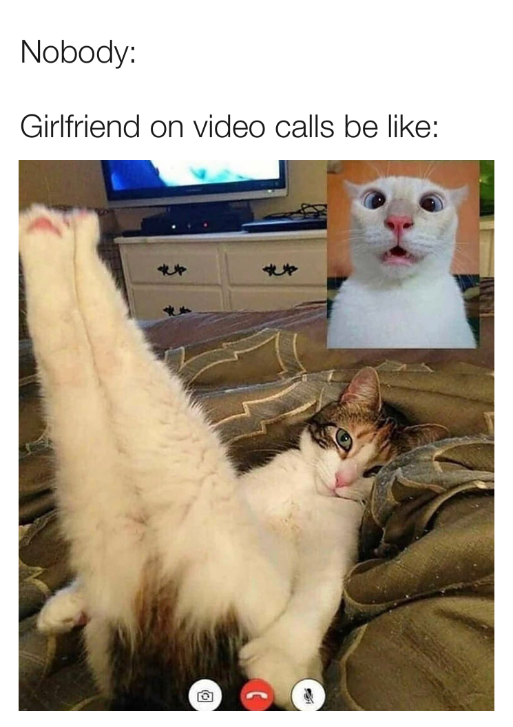 Girlfriend On Video Calls Be Like... 1 Girlfriend on video calls be like meme
