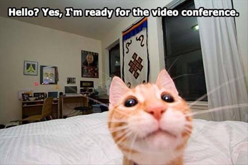 Hello! 1 Im ready for the video conference meme