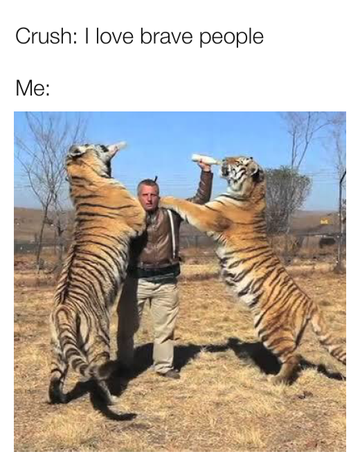 Brave Enough! 1 I love brave people meme