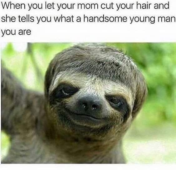 When You Let Your Mom cut your hair meme